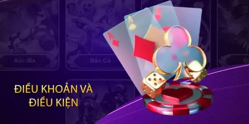 Bạn cần làm theo điều khoản và điều kiện 23Win để nhận tiền khuyến mãi
